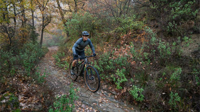 Man ser en cyklist på sin mountainbike. Han cykler ad en sti gennem en skov.