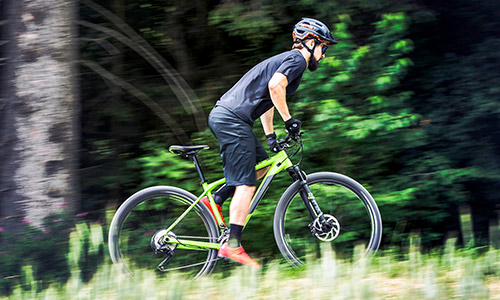 En cyklist kører stående på en grøn mountainbike-hardtail gennem et grønt naturområde