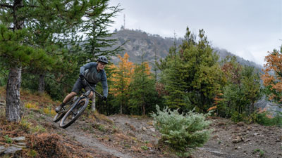 Cyklist kører i skoven på en Cube Stereo Fully-mountainbike.